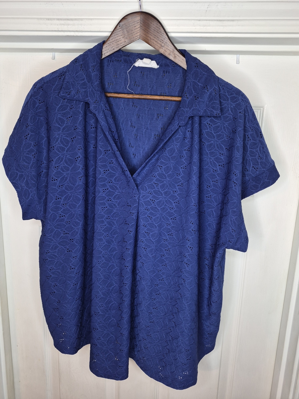 Rio & Rian Women's Blue Eyelet Short-Sleeve Collared Top 1x